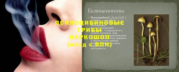 PSILOCYBIN Алексеевка