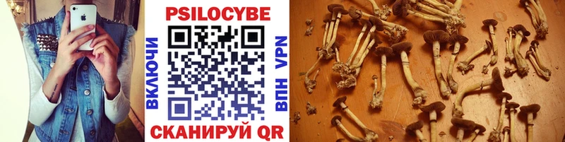 Псилоцибиновые грибы Psilocybine cubensis  наркошоп  Железногорск-Илимский 