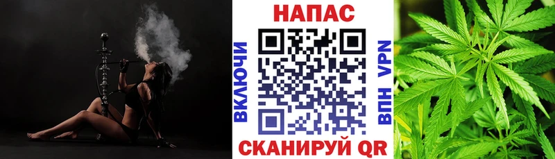 Бошки марихуана семена  цены   Железногорск-Илимский 